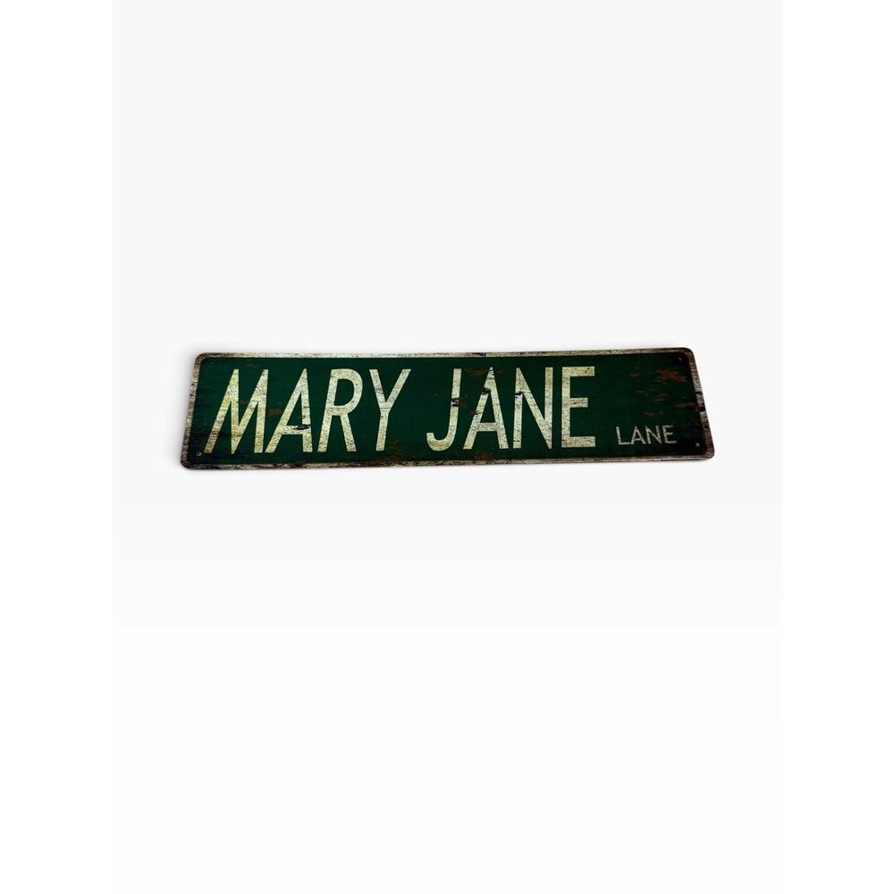 New Novelty Collectible Metal Sign MARY JANE LANE street sign